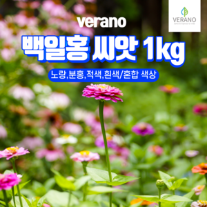 [조이가든] 백일홍 씨앗- 1kg, 1개