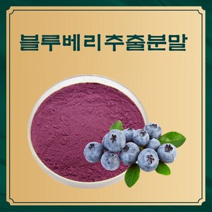 엔트코 블루베리농축분말, 1kg, 1개