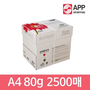 하이브라이트 A4용지 80g 1박스 2500매 복사용지, 색상:[색상]본상품, 2500개