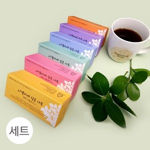 카리스디자인 52주 시냇가에 심은 나무/말씀카드6종세트, 1편~6편 6종세트