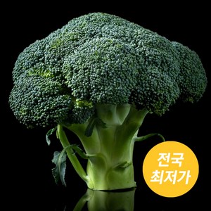 브로콜리 직수입 업소용 식자재 도매반장, 1박스, 4kg