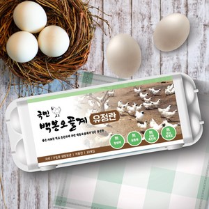 [국민란] 국민 백봉오골계알 한약재 영양물 HACCP 사료 공급 백봉오골계 무항생제 무살충제 무산란촉진제 무합성착색료 유정란 백봉오골 계란 오골계 달걀 국민란, 20구