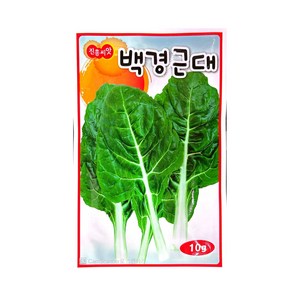 백경근대 씨앗 10g [25년포장] 근대 종자, 1개