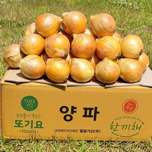[또기요]양파 햇양파(대)10kg 국내산 실속형 대용량 식당 업소용, 1개, 10kg