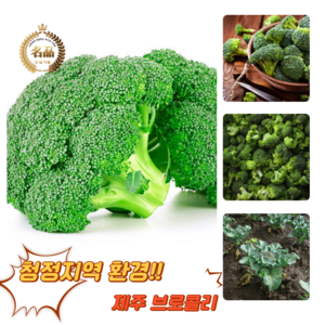 [굿피플] 브로콜리 국산브로컬리 브로콜리유기농 boccoli 야채 브러컬리 브로컬리[브로콜리2-4개], 1박스, 1kg