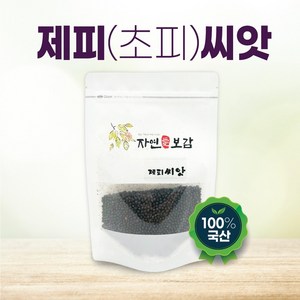 국산 제피(초피) 씨앗 제피열매 초피열매, 1개, 제피(초피)씨앗 100g