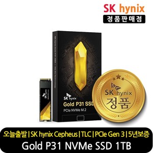 SK하이닉스 GOLD P31 NVMe SSD, HFS001TDE9X0733, 1TB