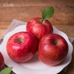 사과사랑 아삭아삭 사과, 가정용 사과 8kg 꼬마소과, 1개