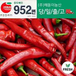 해돋이농산 국내산 홍고추 빨간고추 붉은고 상품 1kg 2kg 3kg 5kg 10kg, 1개