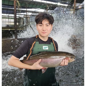 1급수에서 자라는 이화정 송어, 송어회 살코기 400g(가시제거 됨), 1개