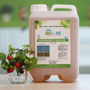 정화조냄새제거 종균제 바이오-NS (10L), 10L, 1개