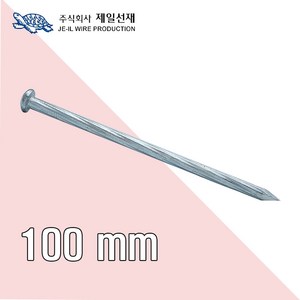 제일선재 콘크리트못100mm x 100g, 1개