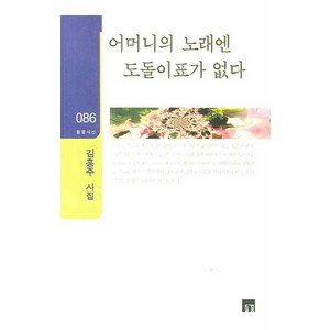 어머니의 노래엔 도돌이표가 없다:김홍주 시집, 들꽃, 김홍주