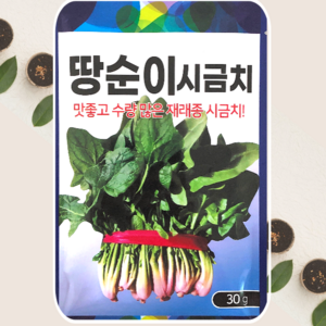 재래종 땅순이 시금치 씨앗 종자 수량 많고 맛 좋은 영양만점 채소 섬초 30g, 1개