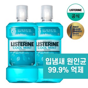 리스테린 쿨민트 구강청정제, 1L, 2개