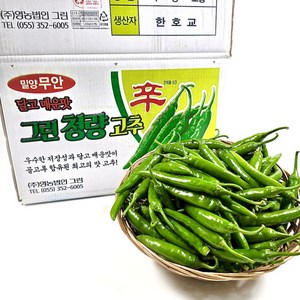 기린농산 국내산 청양고추(상), 1개, 1kg