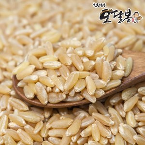 힘찬농부오달봉 수입 호라산밀 고대곡물 이집트쌀, 500g, 1개