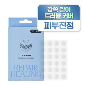 테라픽 리페어 힐링 패치 여드름패치/트러블패치/방수, 120매, 1개