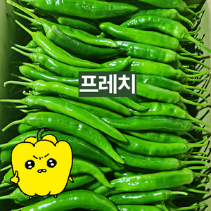 프레치 국내산 싱싱 아삭이고추 오이고추, 특 1kg, 1개