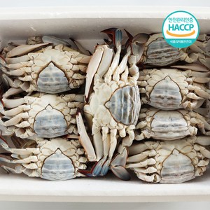 [연평도] 국내산 특품 급냉 암꽃게, 1개, 2kg (6-10미)