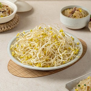 자연진리 천연암반수 아삭아삭 콩나물 1kg 2kg 4kg, 1개