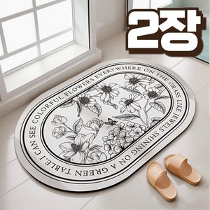 노마지니 빨아쓰는 소프트 말랑 규조토 발매트, 타원, 2개