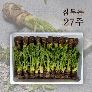 참두릅 입맛을 돋궈주는 향긋한 두릅 27주 45주 60주 85주 선물세트, 참두릅 27주, 1개