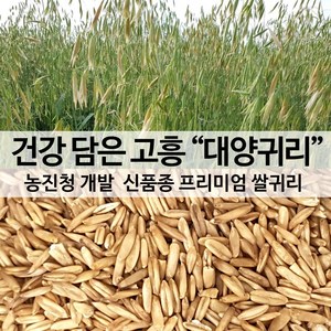 [진도장모와서울큰사위] 국산 대양귀리쌀 뉴스에 소개된 프리미엄 품종 [24년산 출시], 1개, 2kg