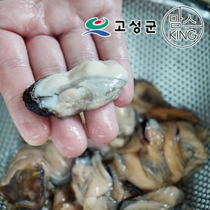 [공룡나라]동성수산 국산 생물 홍합살 2kg 경남고성, 2개