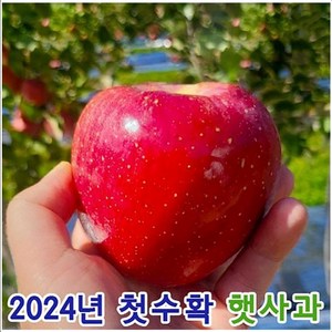 당도보장 꿀이가득 껍질째먹는 안동 청송 가정용 꿀사과, 1개, 4.5kg