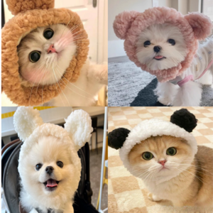 슈가독 고양이 강아지 애견 모자, 1개, 북극곰