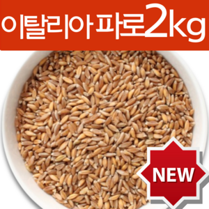 하늘정연 Fao 이탈리아 파로 곡물 파로쌀 고대곡물 엠머밀 효능 엠머파로, 2개, 1kg