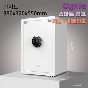 Cynia 예쁘고 튼튼한 가정용 금고 지문인식 비밀번호 소형부터 대형, 55cm, 화이트