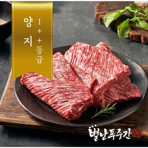 [농협안심한우] 투뿔(1++) 한우 양지살  수육 국거리 (덩어리육), 1개, 500g
