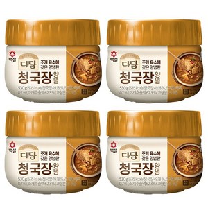 CJ제일제당 CJ 다담 청국장 양념 530g, 4개