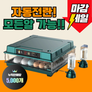 부화율 높은 행운 농장 병아리 부화기 자동전란 계란 달걀 알 닭 오리 메추리 오리 조류, 12세트, 초록색