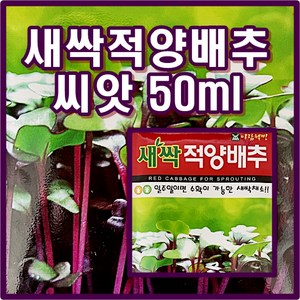 새싹 적양배추 씨앗 (50ml) -새싹 전용씨앗/이태리 원산지, 1개