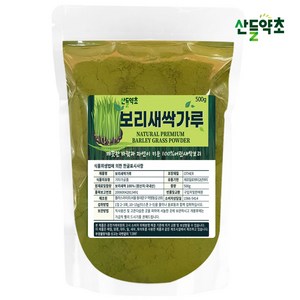 국내산 새싹보리 분말 가루 보리새싹 가루 청정지역 제주도산, 1개, 500g