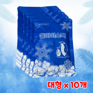 더에코 프리미엄 강력 젤 아이스팩 쿨 친환경 얼음팩 대형, 10개, 1세트