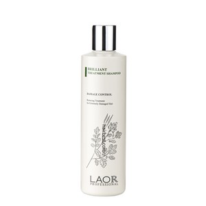 라오르 브릴리언트 트리트먼트 샴푸 300ml, 1개