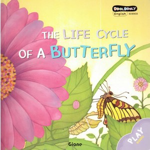 나비의 일생(The Life Cycle Of A Buttefly), 지혜의정원