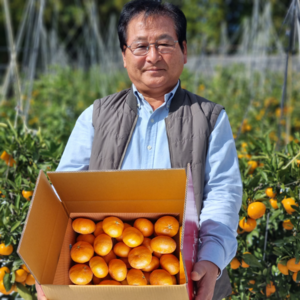 제주 서귀포 맛있는 레드향 가정용/선물용 Jeju Redhyang, 1박스, 레드향 4.5kg 중과 가정용