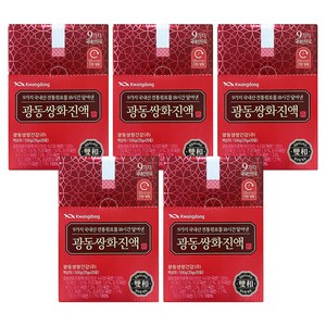 광동제약 광동 쌍화진액, 500g, 5개