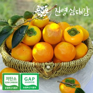 진영단감 5kg(26~30과) GAP인증 저탄소인증 진영삼대감, 1개