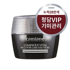 청담 스파 카미안느 시그니처 기미크림, 50g, 1개