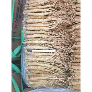 소삼계 750g 1채(50뿌리내외 5년근이상), 1개