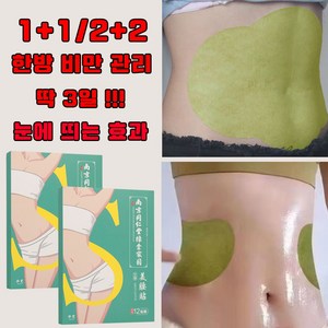 한방 12+12p/24+24p 붙이는 다이어트 패치 배꼽패치 셀룰라이트 나인슬림 복부 배찜질 뱃살빼기 슬리밍, 1개, 12개입