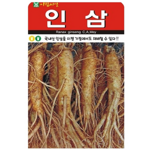 아람종묘 [소포장] 햇종자 인삼 종자 씨앗 100립, 1개