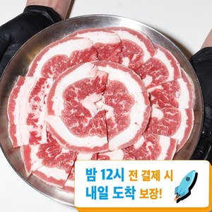 [찐신선] 4mm 복고 우삼겹 수입소고기 800g, 1개