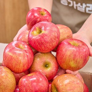 농가살리기 경북 가정용 꿀부사 비세척 사과, 1박스, 미니 8kg (56과 내외)